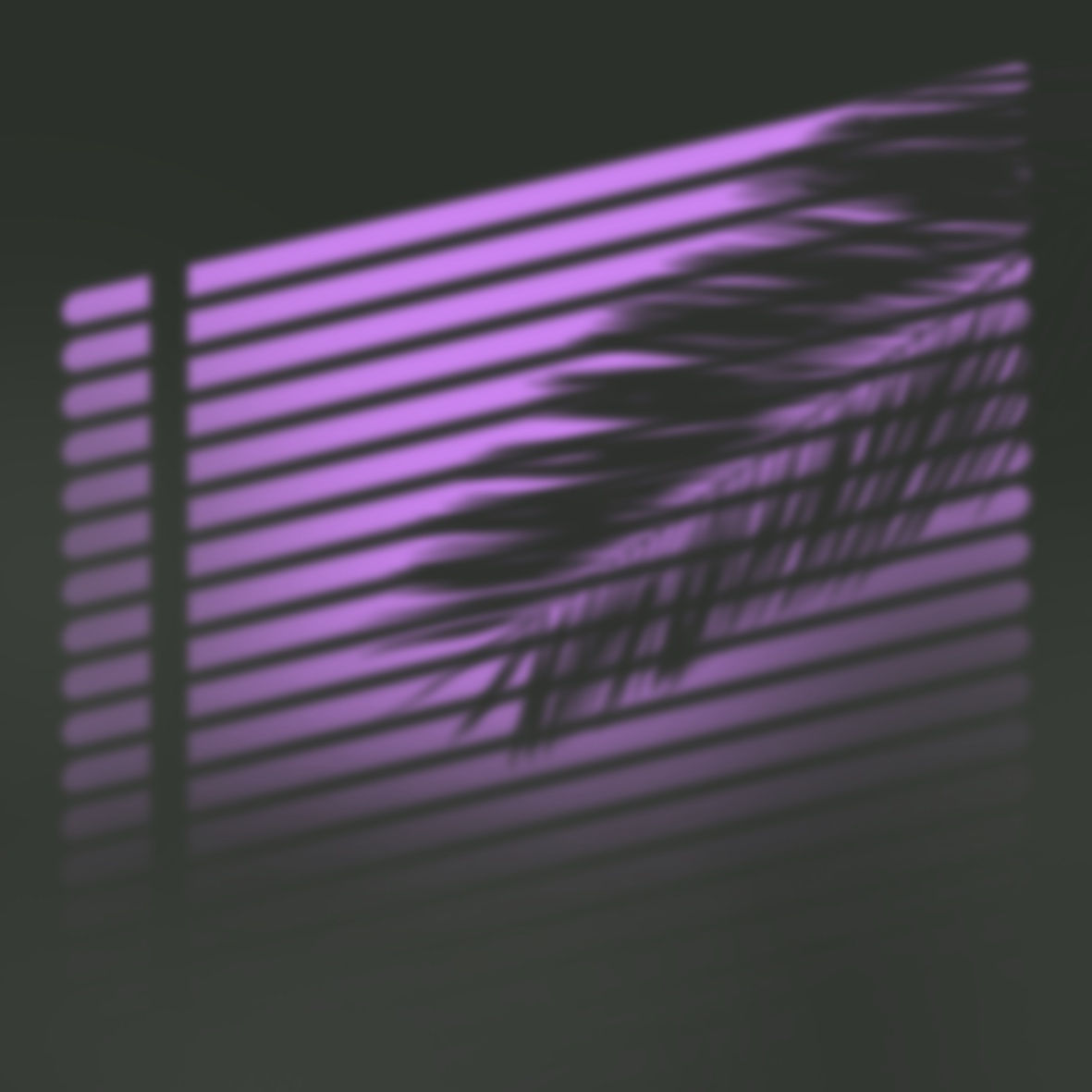 Marchetti Blink, O in Love, 2022