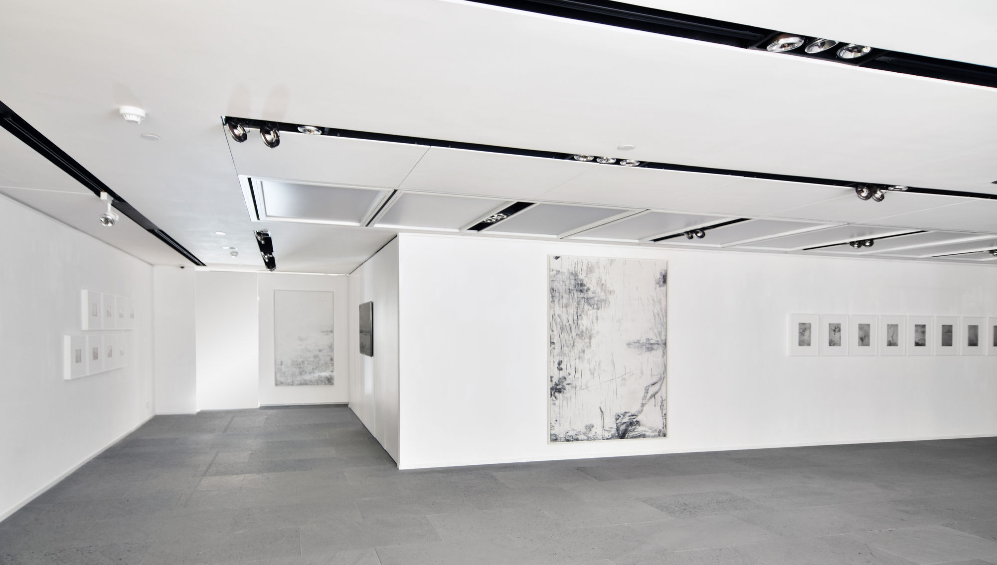 Joint Exhibition - Wang Gongyi and Yan Shanchun