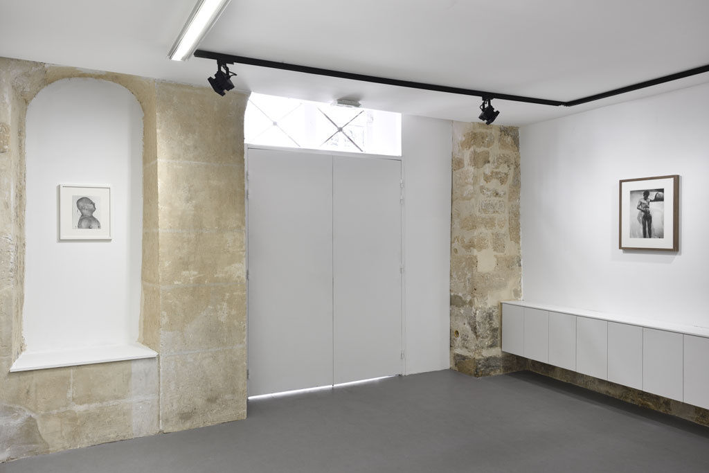 Performing Arts in Vienna in the 1960's