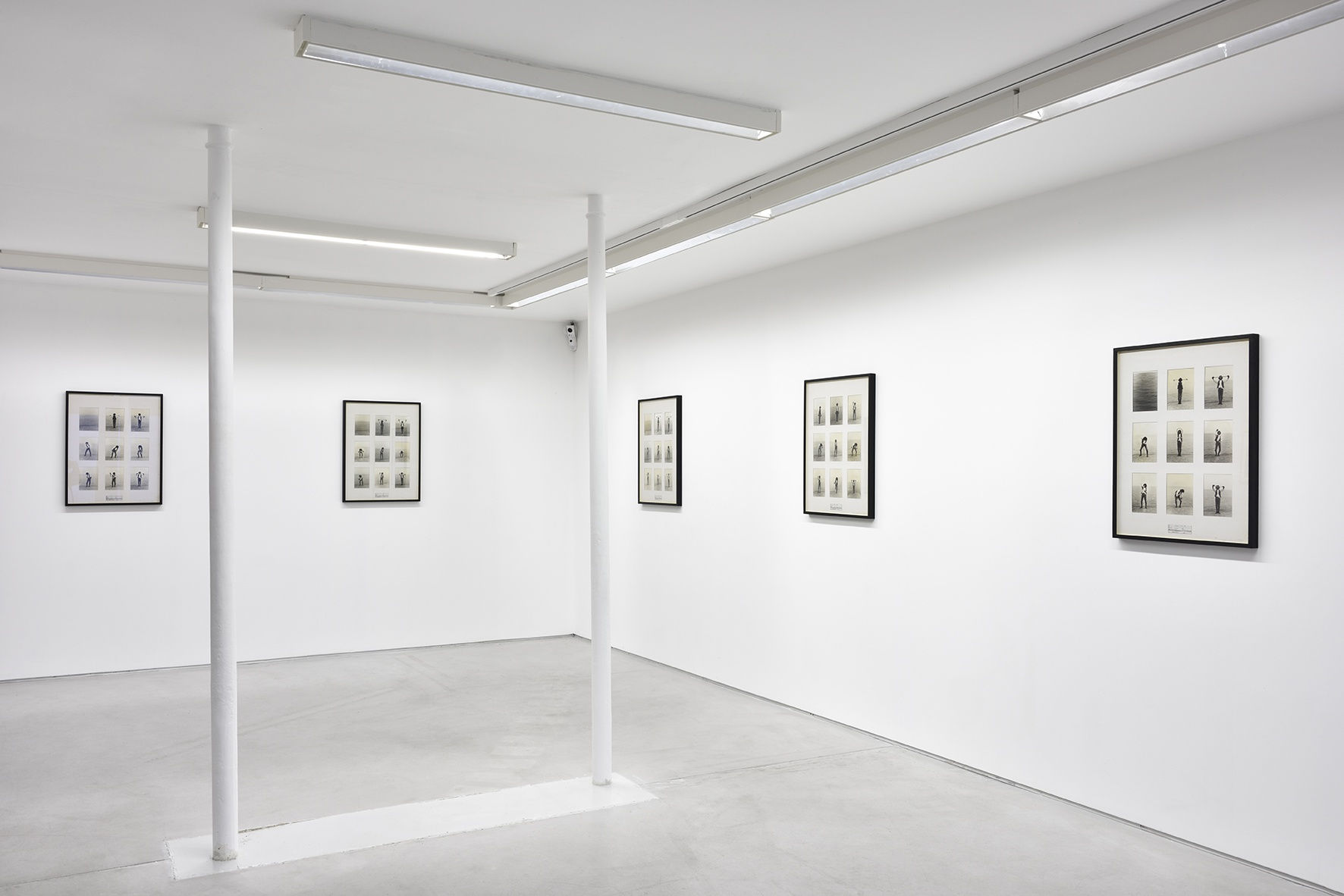 Masafumi MAITA 25.01 - 22.02.2020