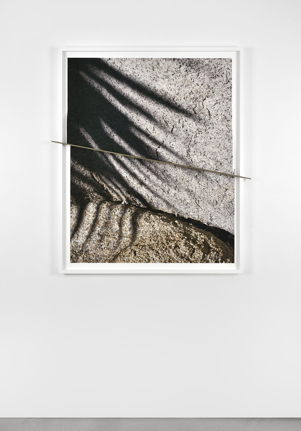 Letha Wilson Joshua Tree Bronze Push (Shadows Half Split), 2016 Impressions jet d'encre, cuivre argenté, plexiglas anti-reflet, cadre en bois 136.5 x 119 x 6 cm 53 3/4 x 46 7/8 x 2 3/8 in