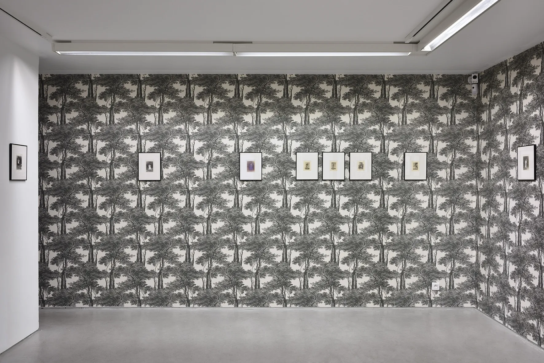 Marcel Bascoulard, Sélection 16.01 - 27.02.2021