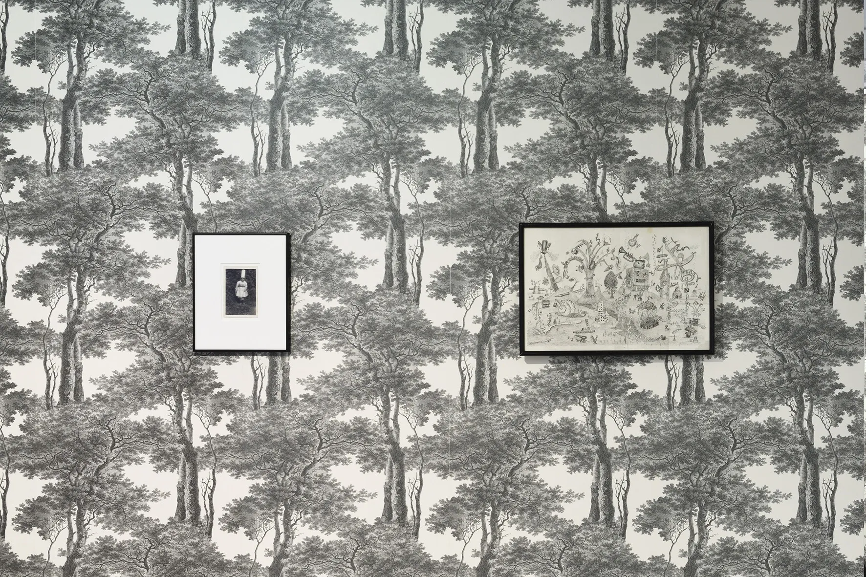 Marcel Bascoulard, Sélection 16.01 - 27.02.2021