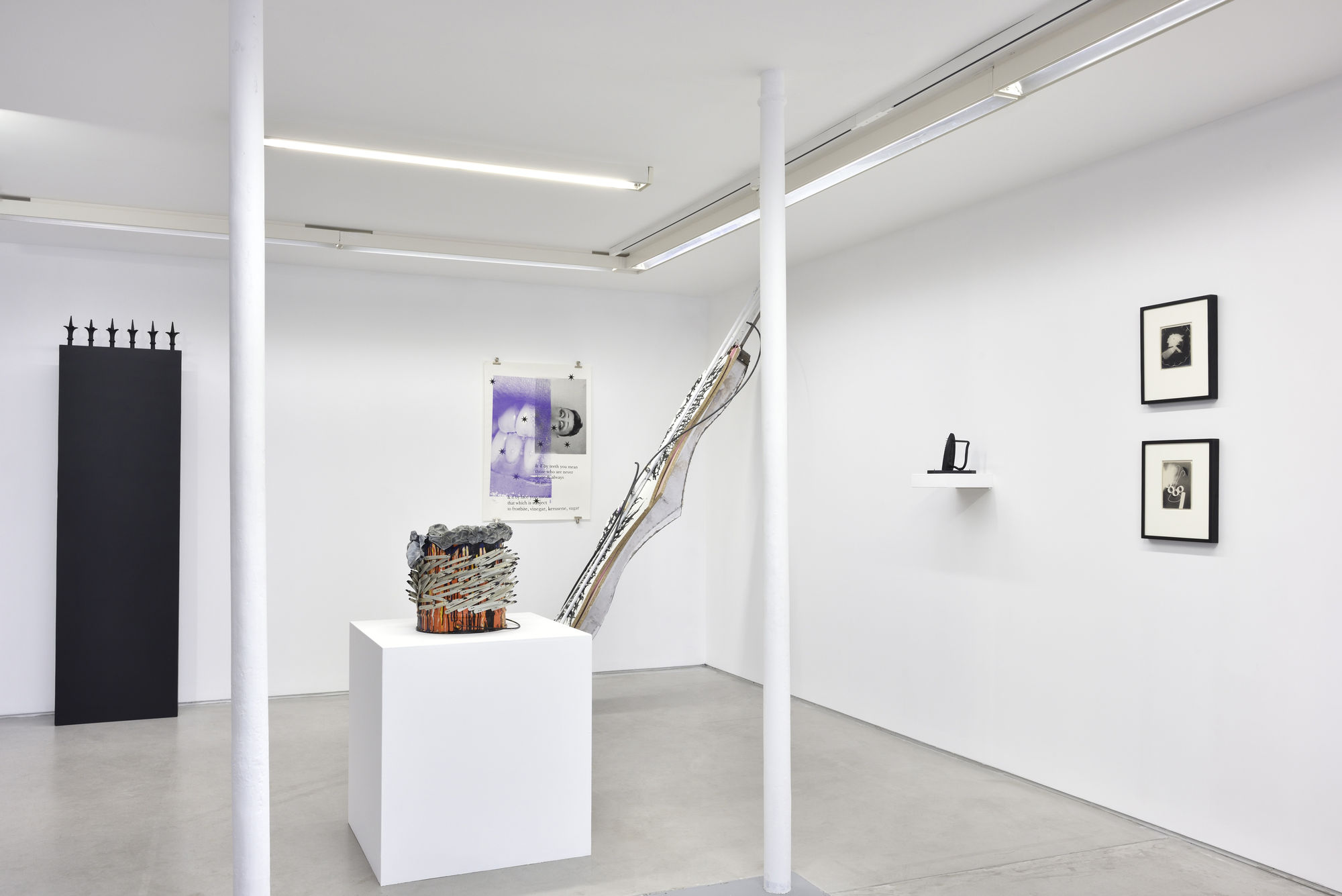 Dans l'œil de Daniel Pommereulle