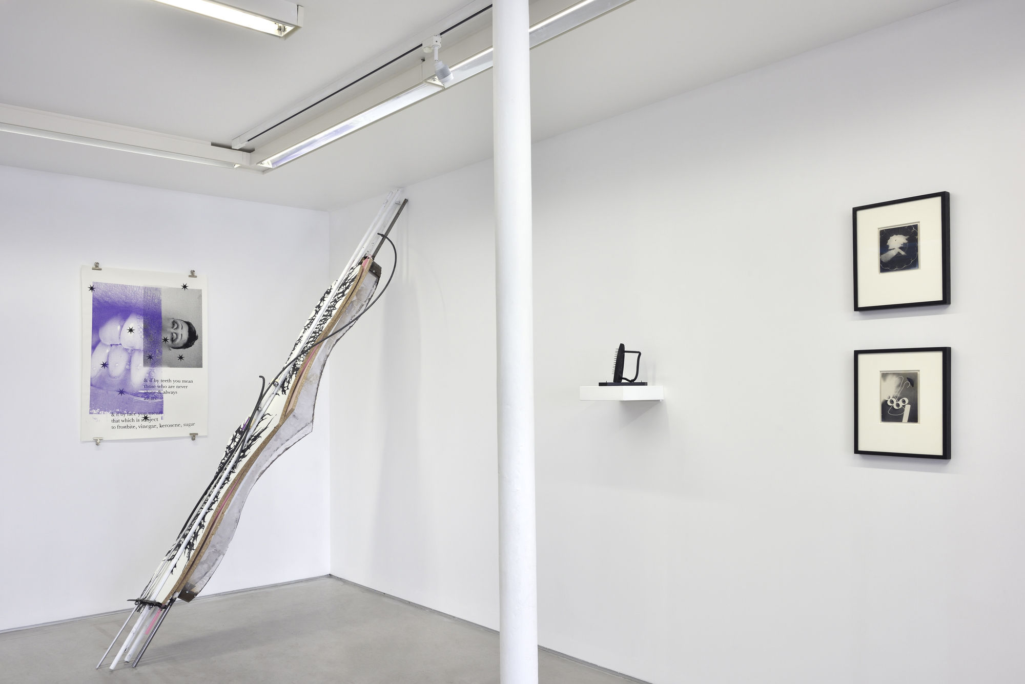 Dans l'œil de Daniel Pommereulle