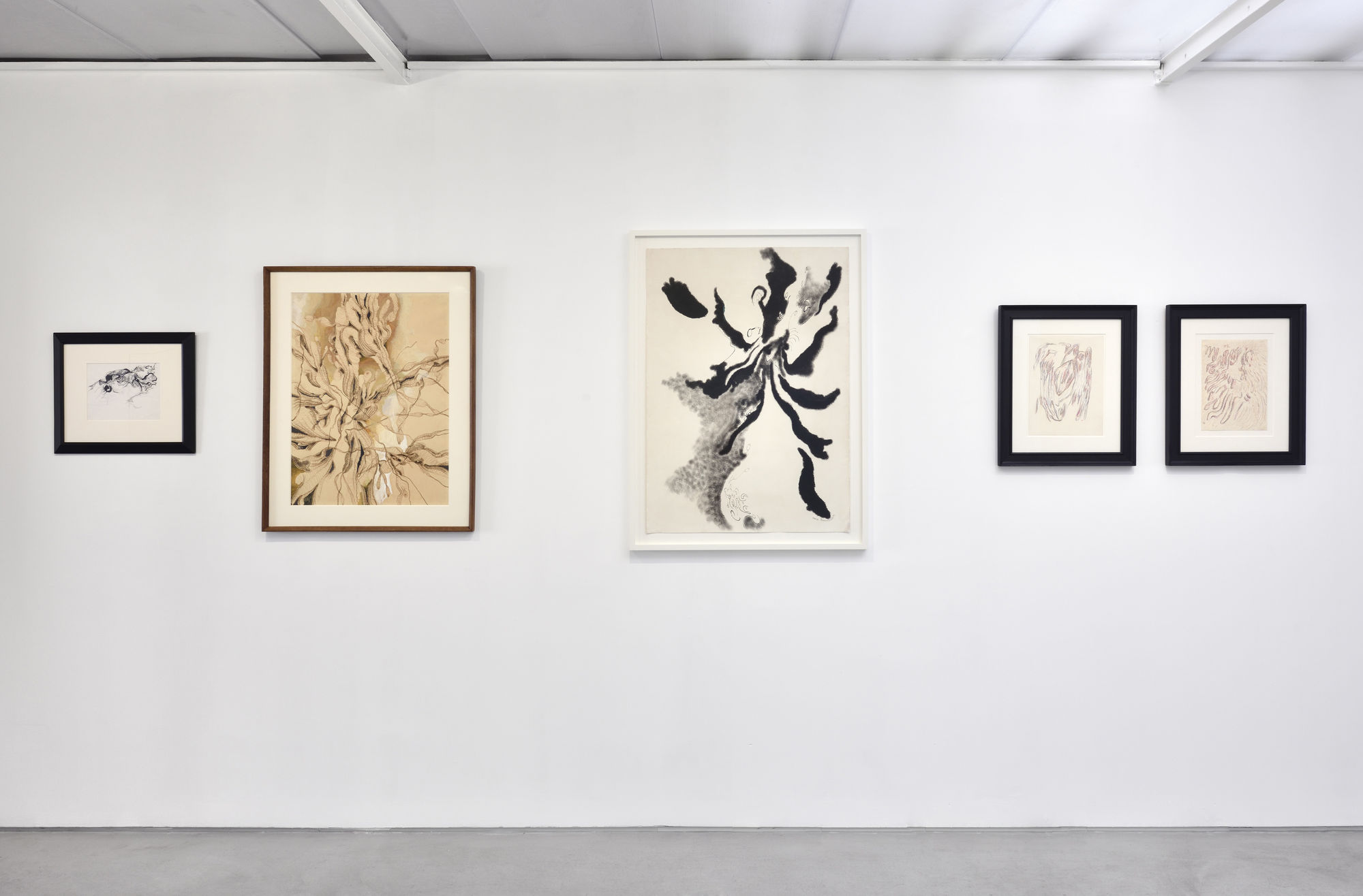 Dans l'œil de Daniel Pommereulle