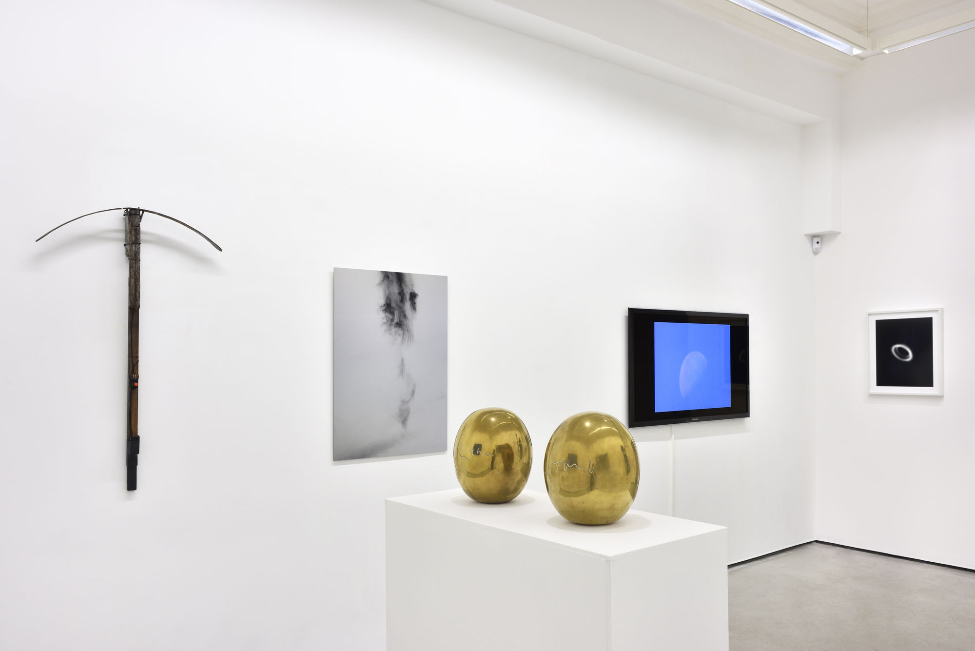 Dans l'œil de Daniel Pommereulle