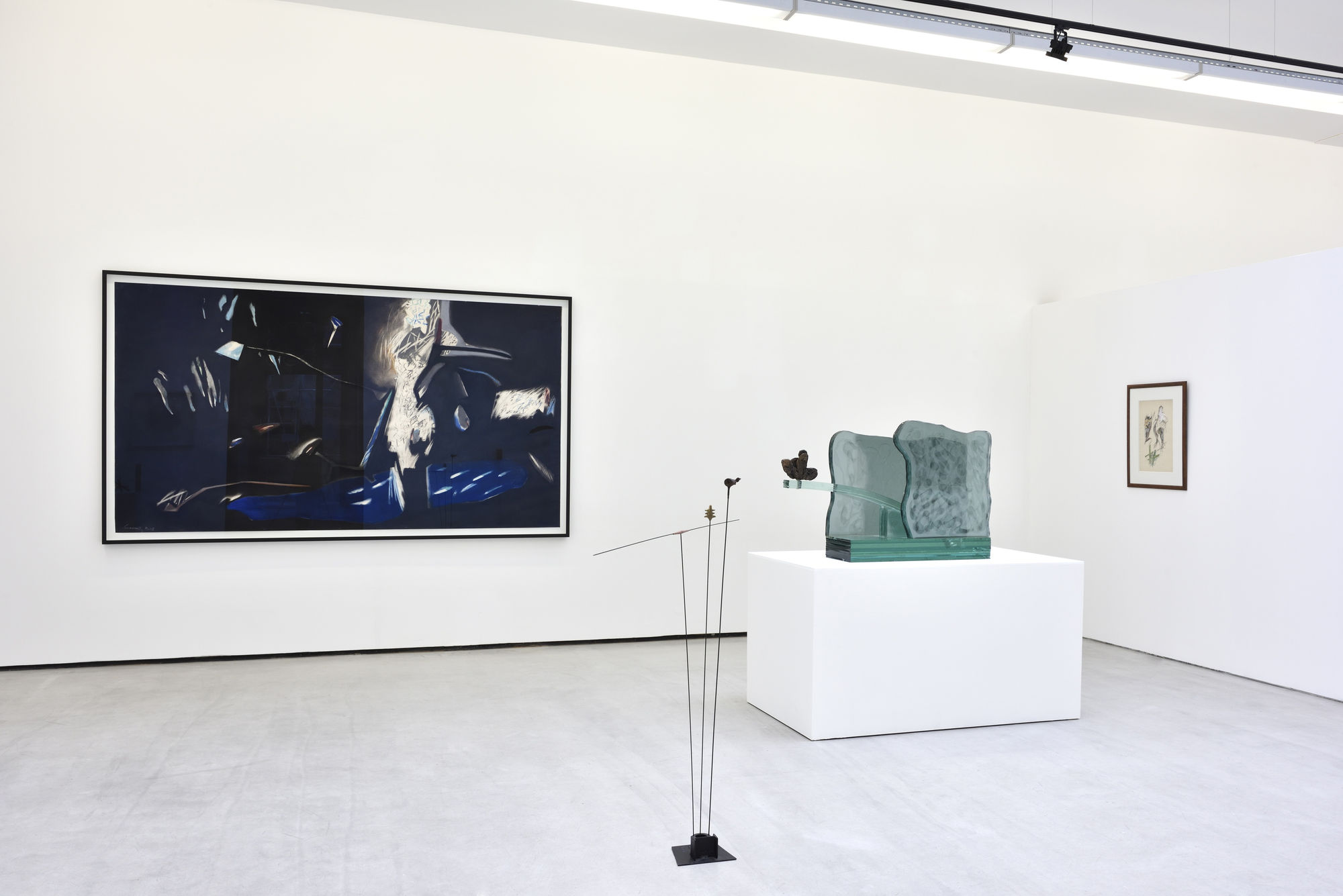 Dans l'œil de Daniel Pommereulle