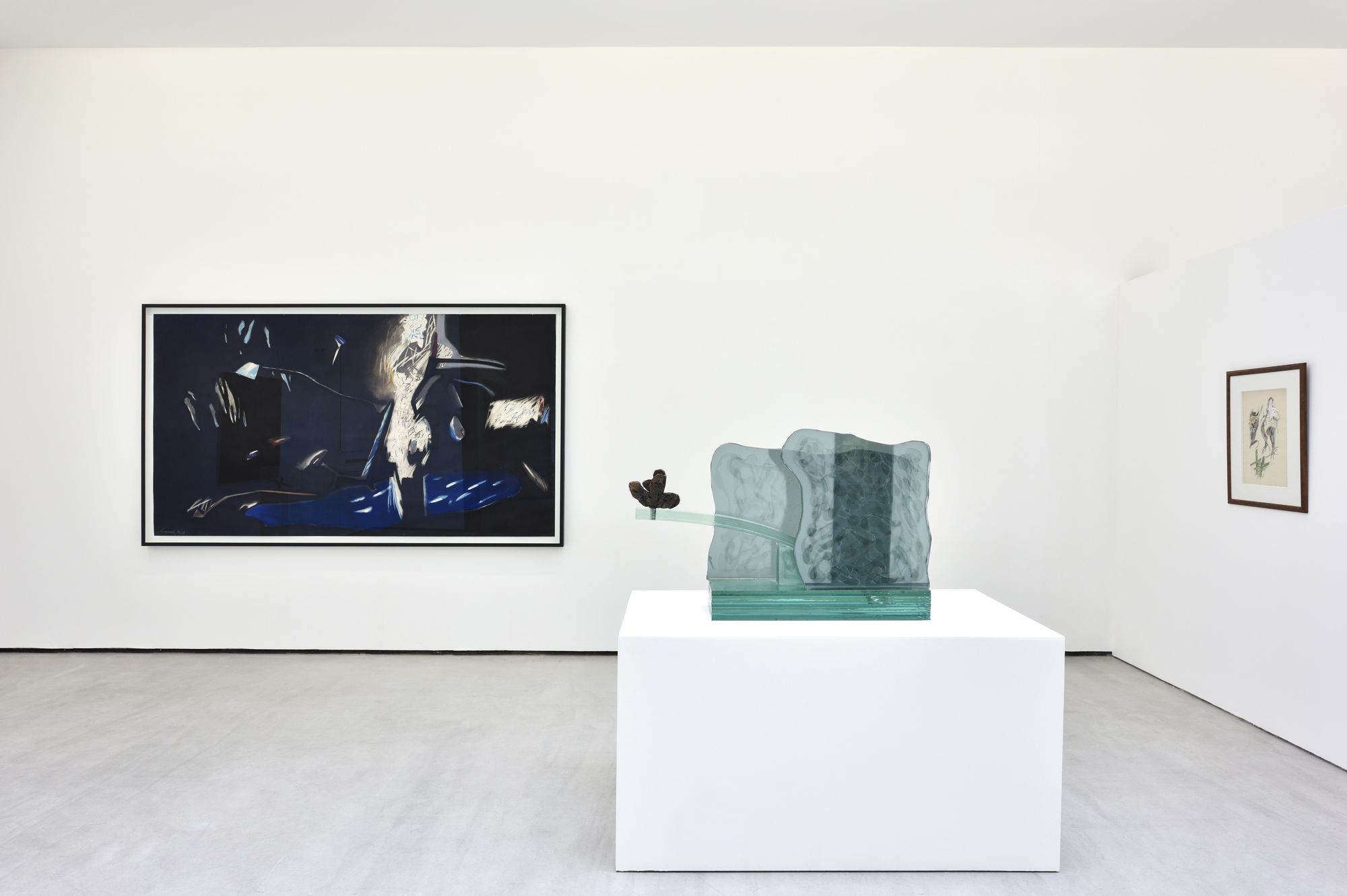 Dans l'œil de Daniel Pommereulle