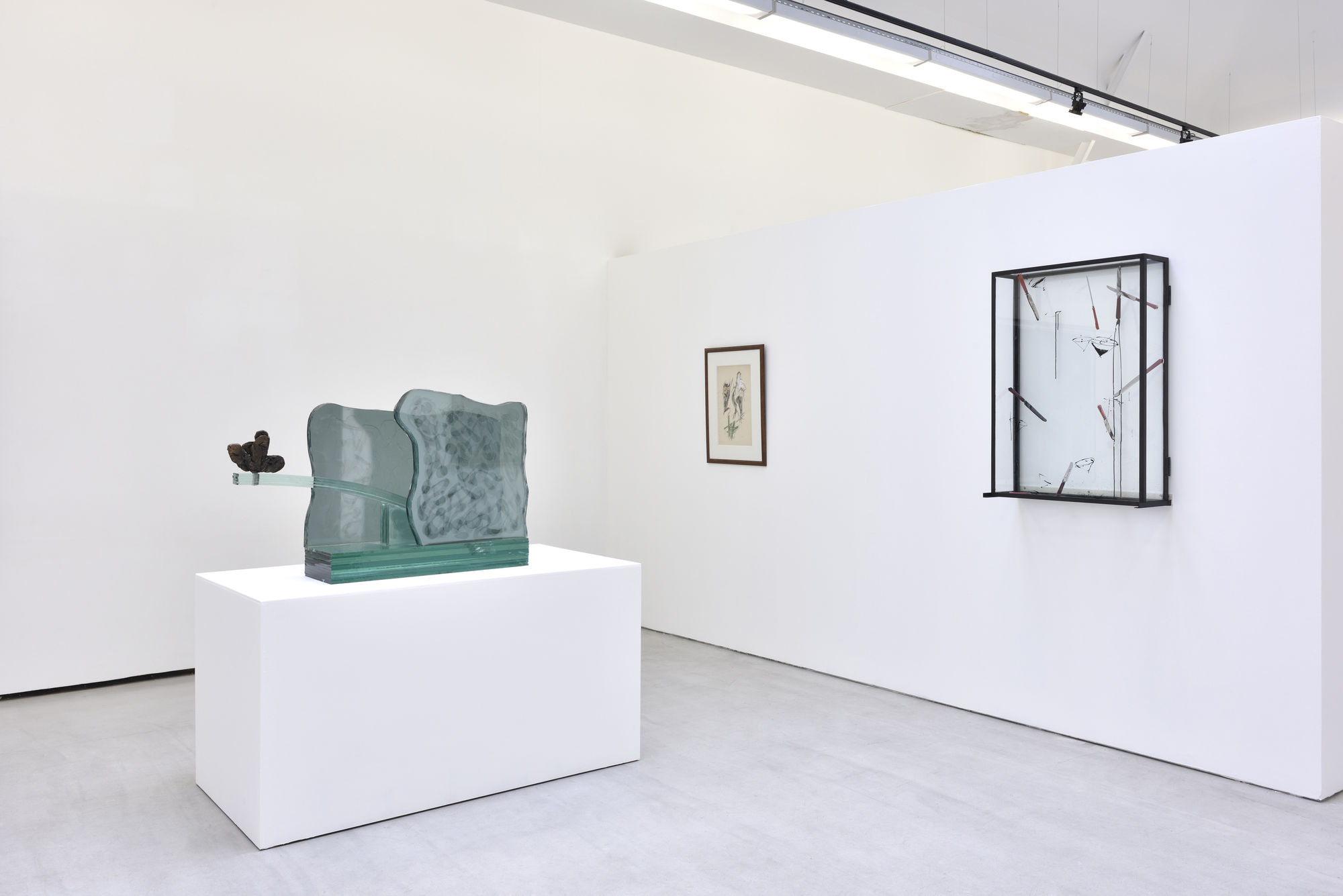 Dans l'œil de Daniel Pommereulle