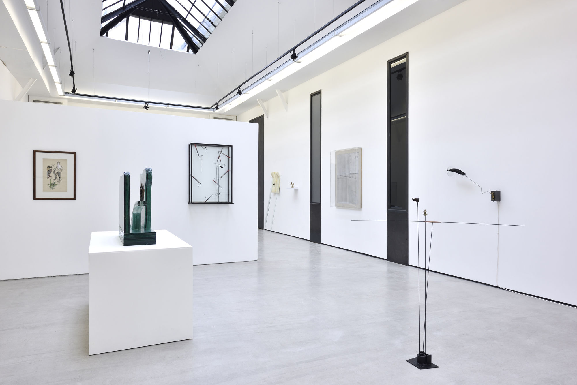 Dans l'œil de Daniel Pommereulle