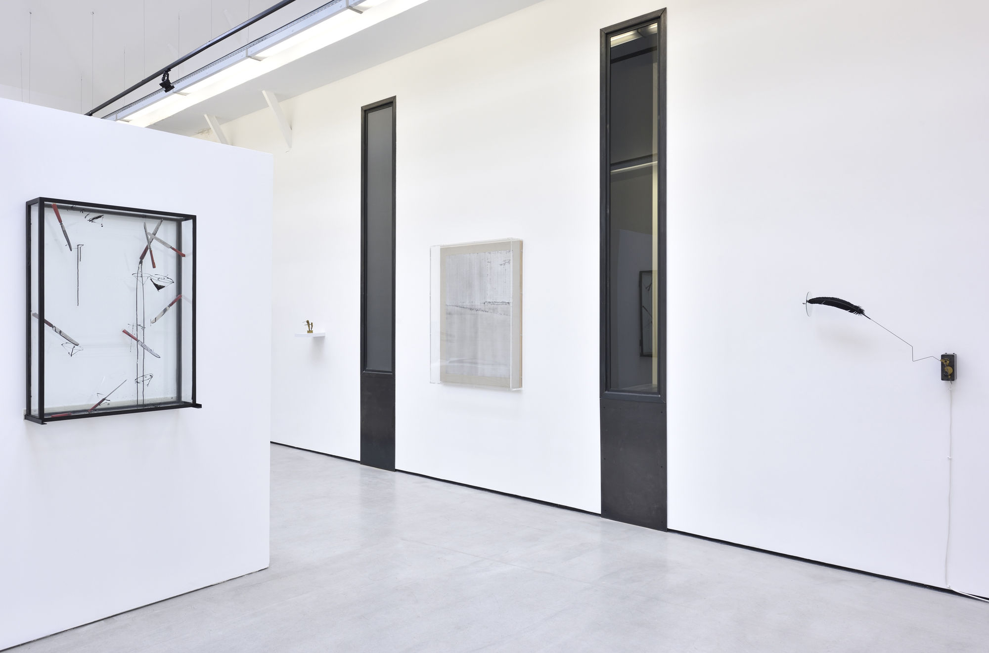 Dans l'œil de Daniel Pommereulle