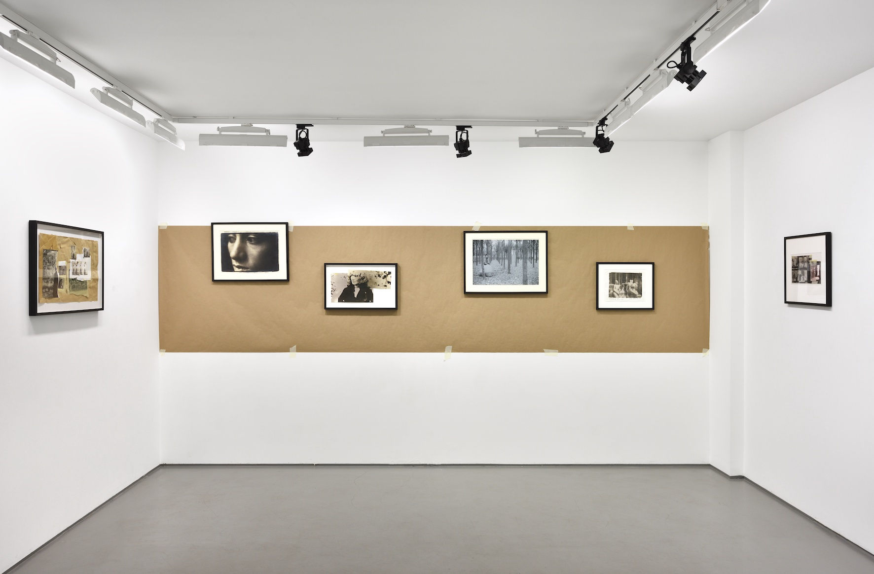 Photo © Rebecca Fanuele