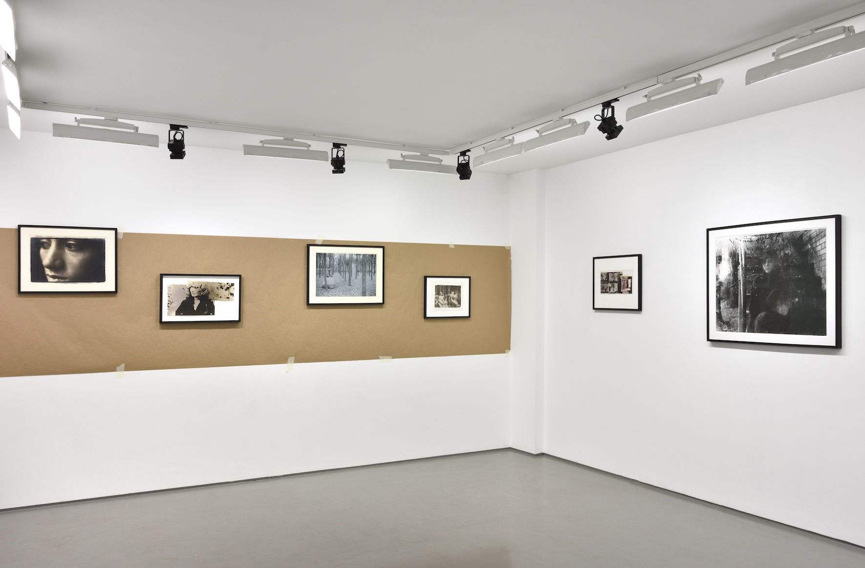 Photo © Rebecca Fanuele