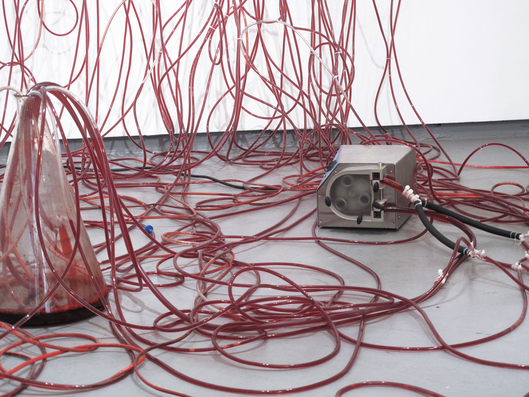 Chiharu Shiota Dialogue with absence 26.11 - 15.01.2011