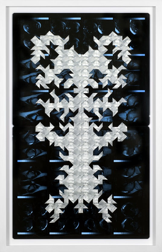 SEVERINE HUBARD, Bicho raro, 2016