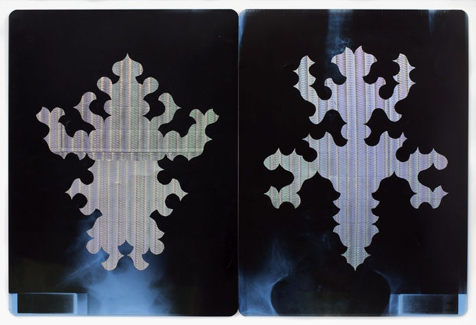 SEVERINE HUBARD, Bicho raro (L'un est le double de l'autre), 2016