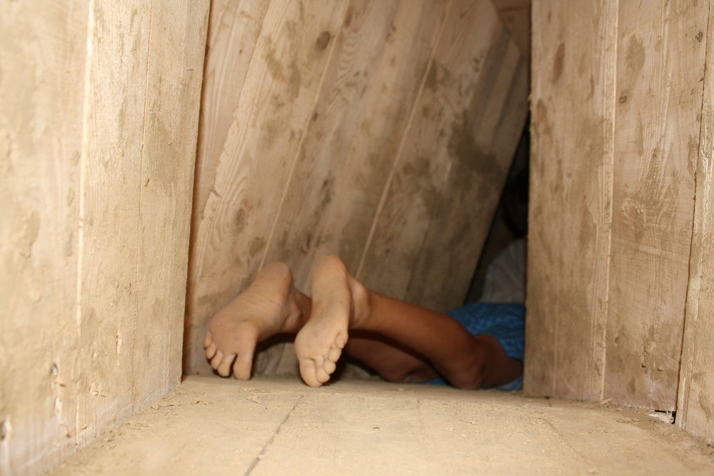 LES FRERES CHAPUISAT, Antre (détail), 2014