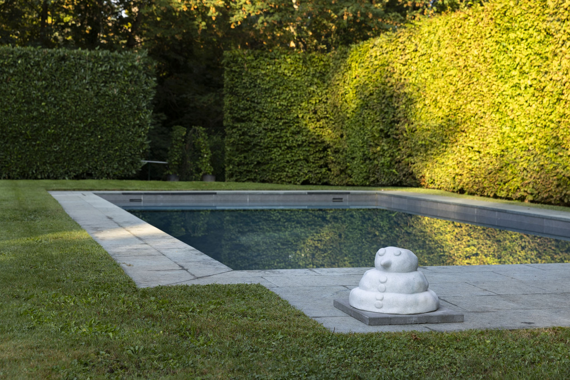 PETER REGLI IN THE HOUSE