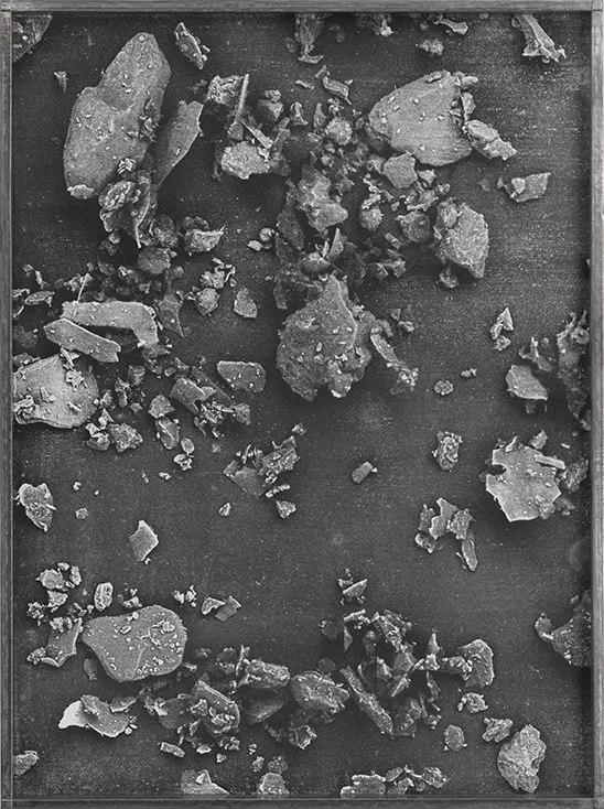 CAROLINE CORBASSON, Fields, 2017