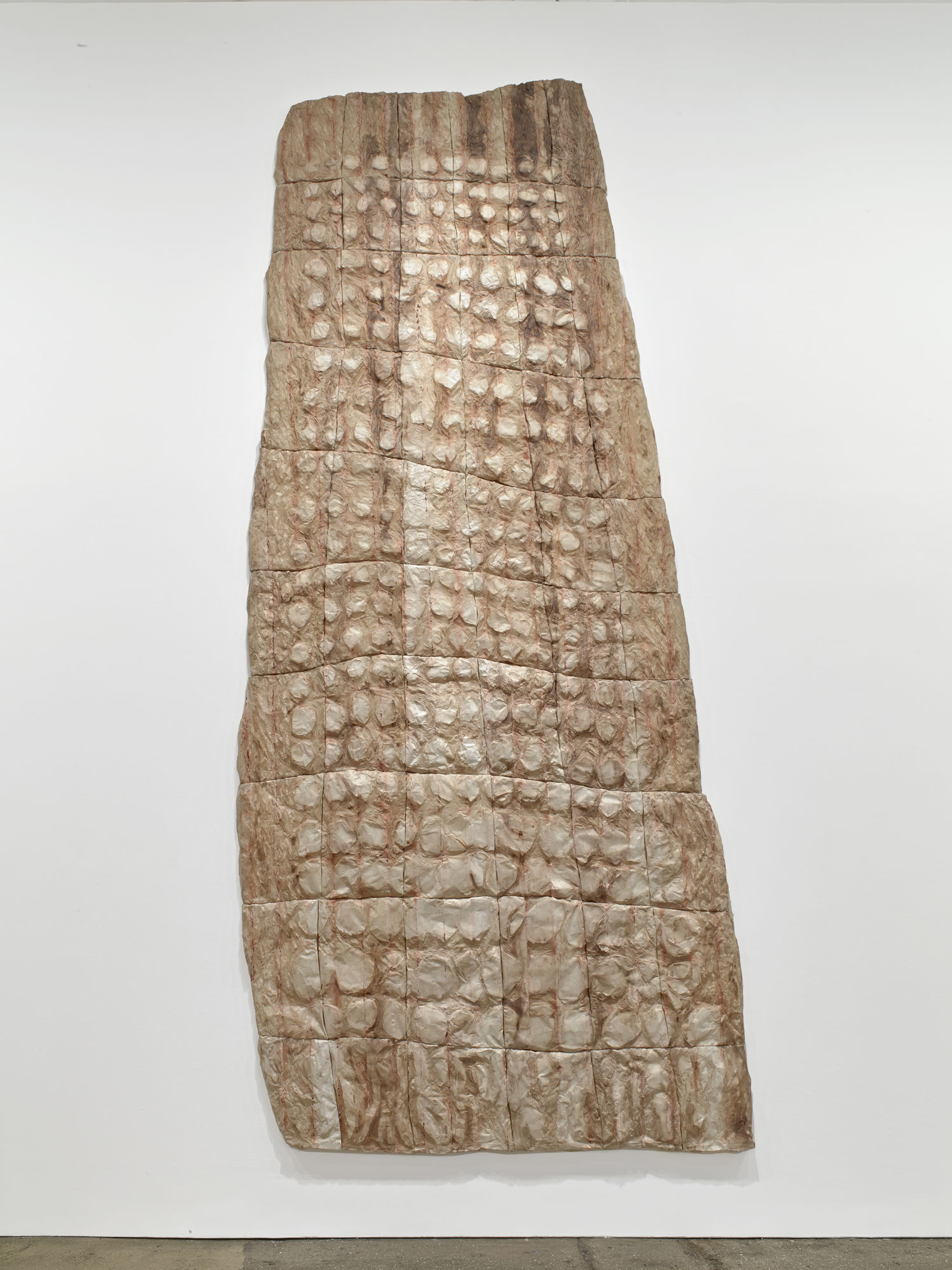 Ursula von Rydingsvard: Permeated Shield