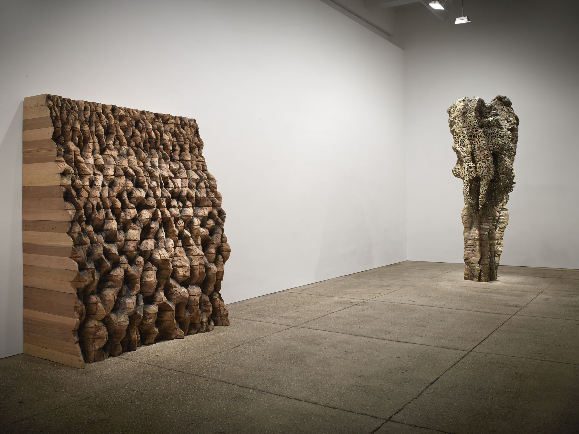 Ursula von Rydingsvard: Permeated Shield