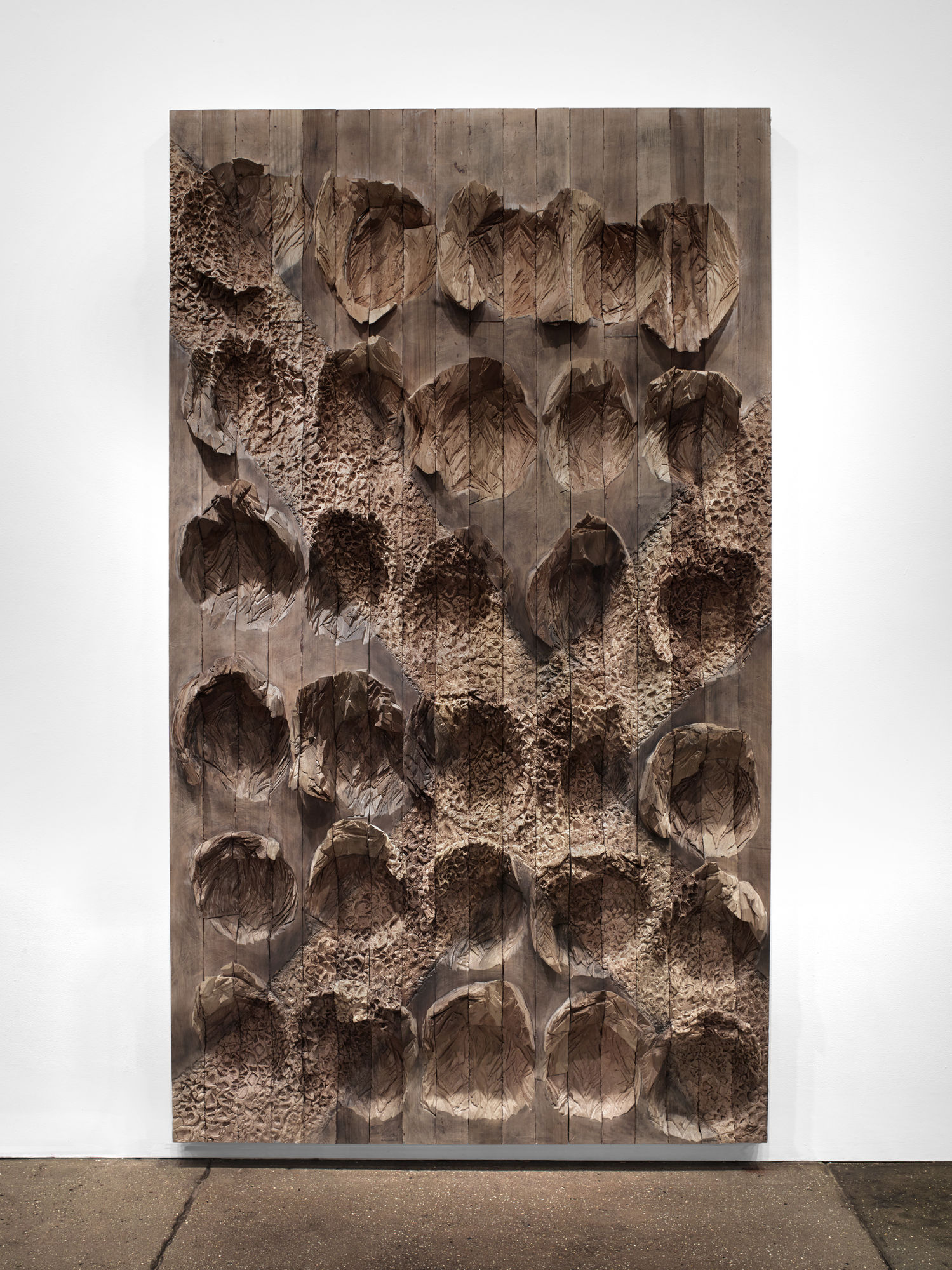 Ursula von Rydingsvard: Permeated Shield