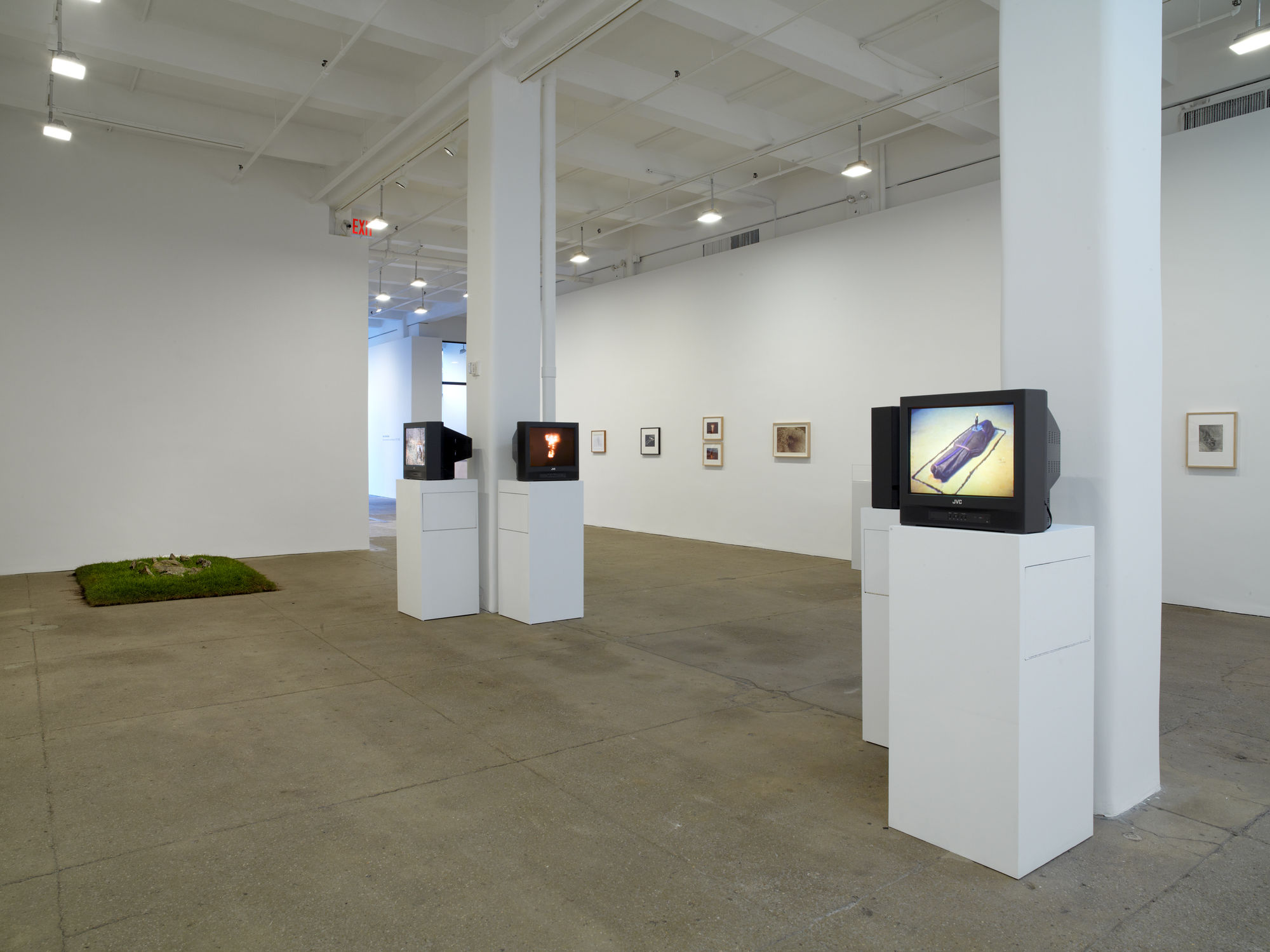 Ana Mendieta: Documentation and Artwork, 1972–1985