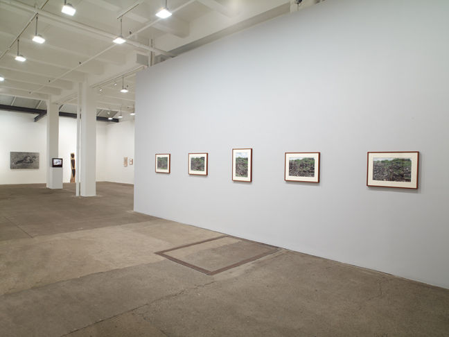 Ana Mendieta: Documentation and Artwork, 1972–1985