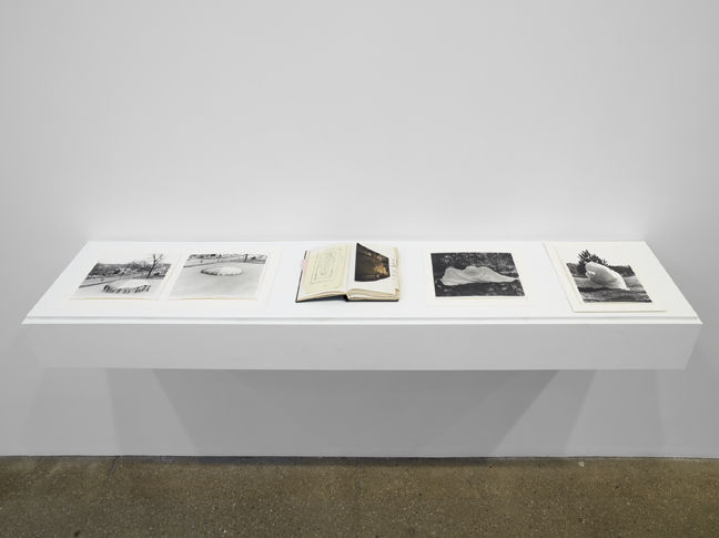 Ana Mendieta: Documentation and Artwork, 1972–1985
