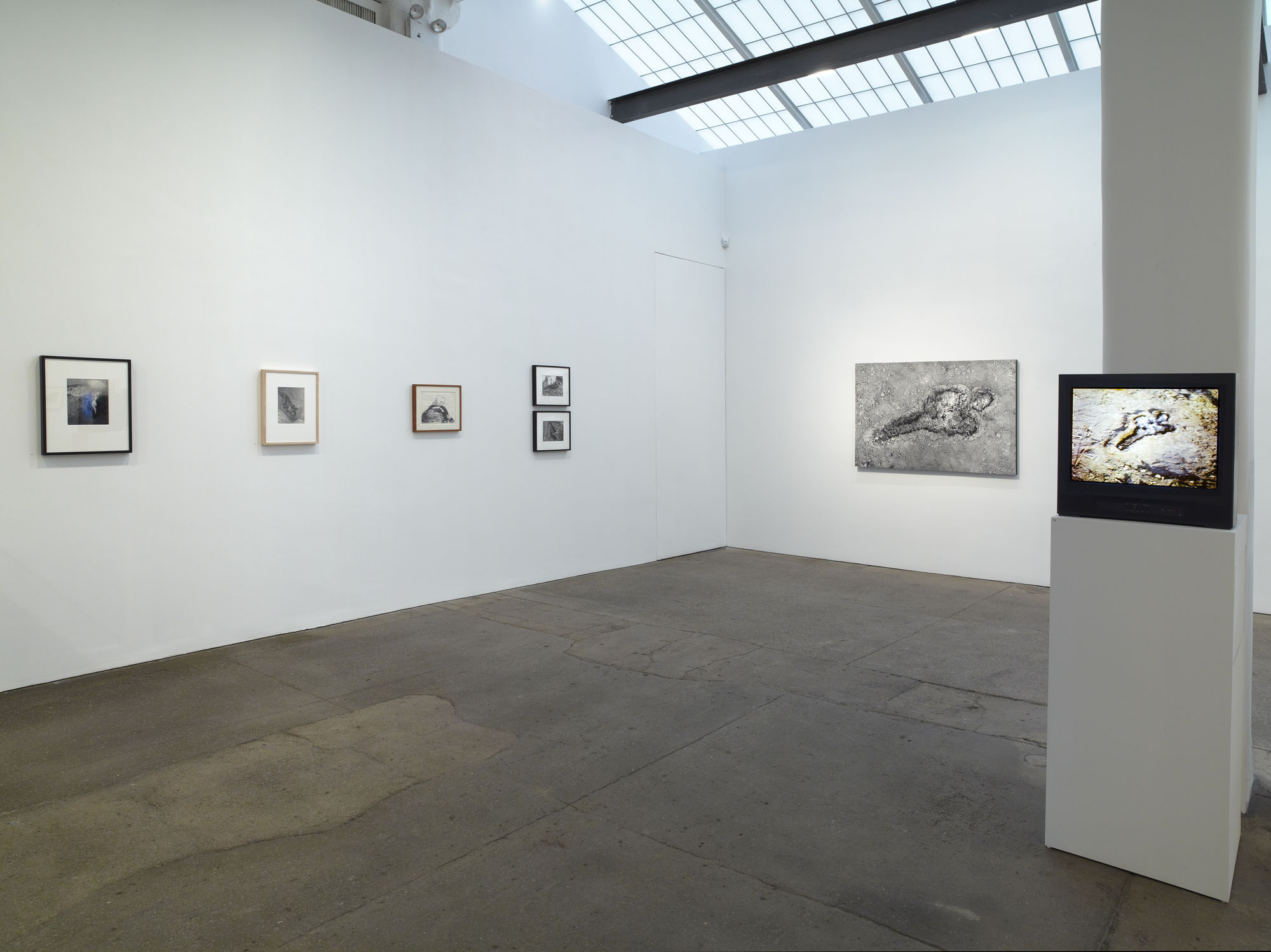 Ana Mendieta: Documentation and Artwork, 1972–1985