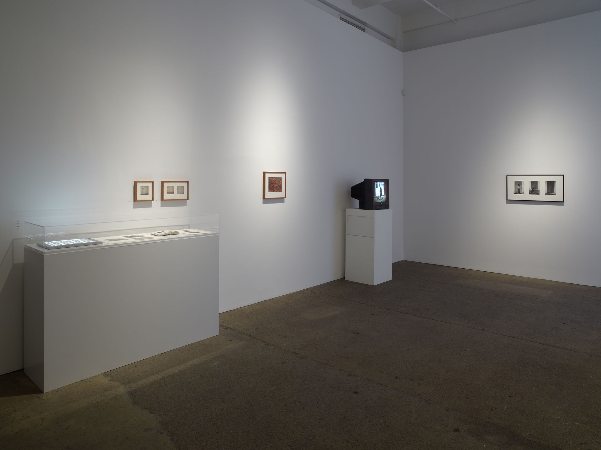 Ana Mendieta: Documentation and Artwork, 1972–1985
