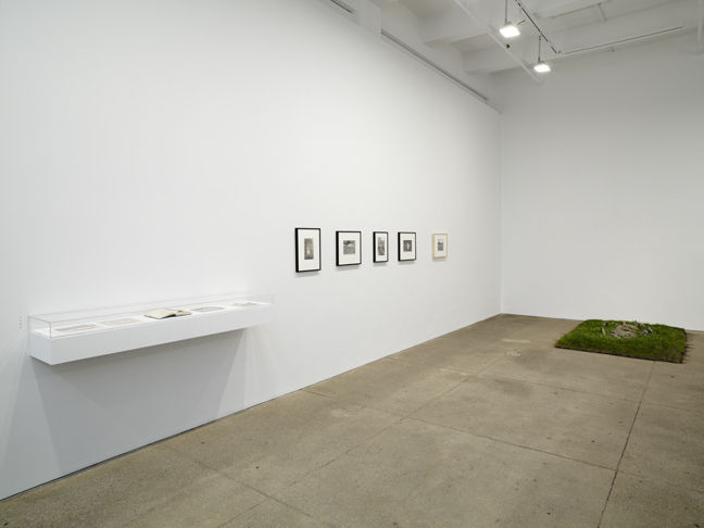Ana Mendieta: Documentation and Artwork, 1972–1985