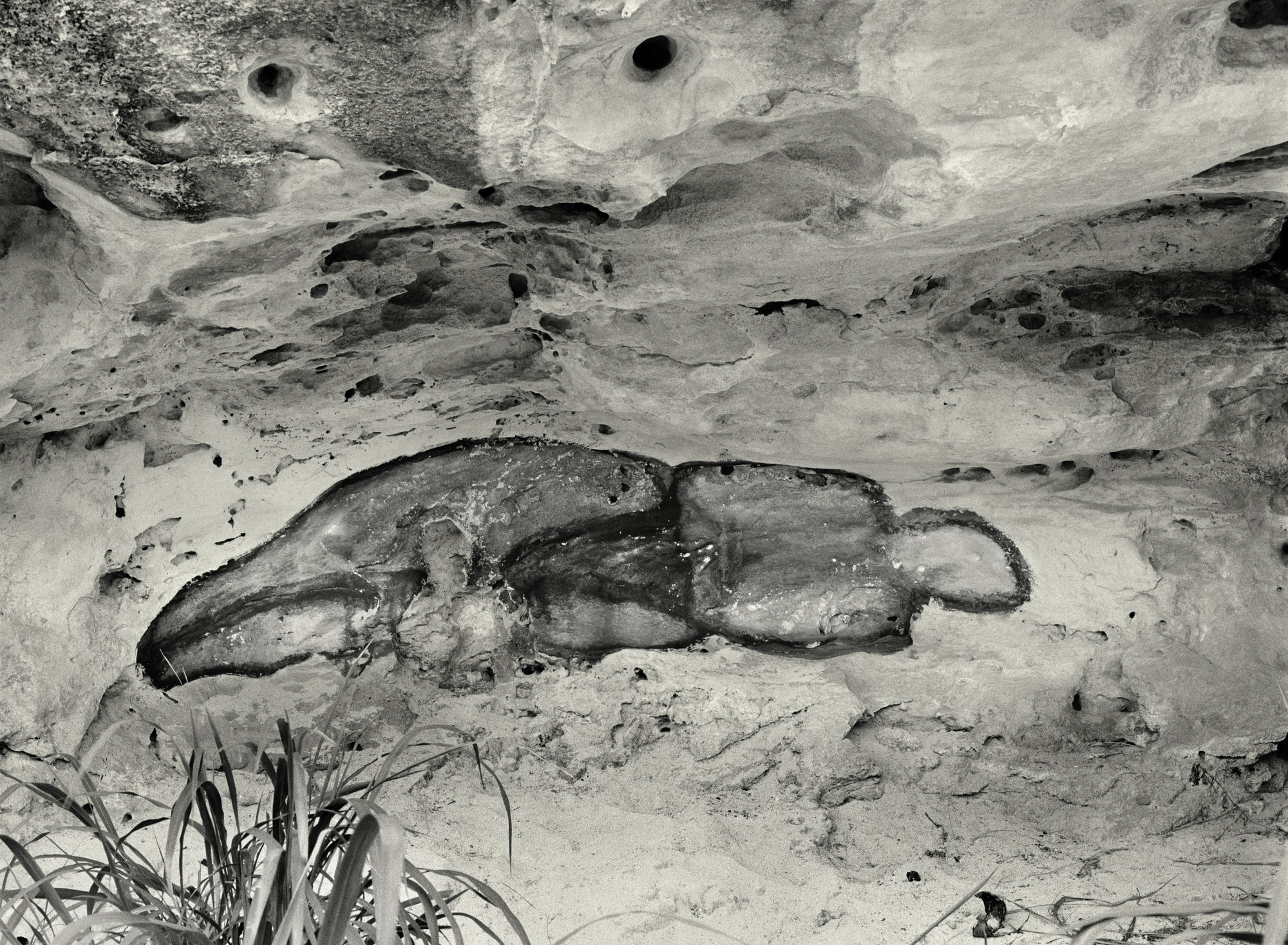 Ana Mendieta: La tierra habla (The Earth Speaks)