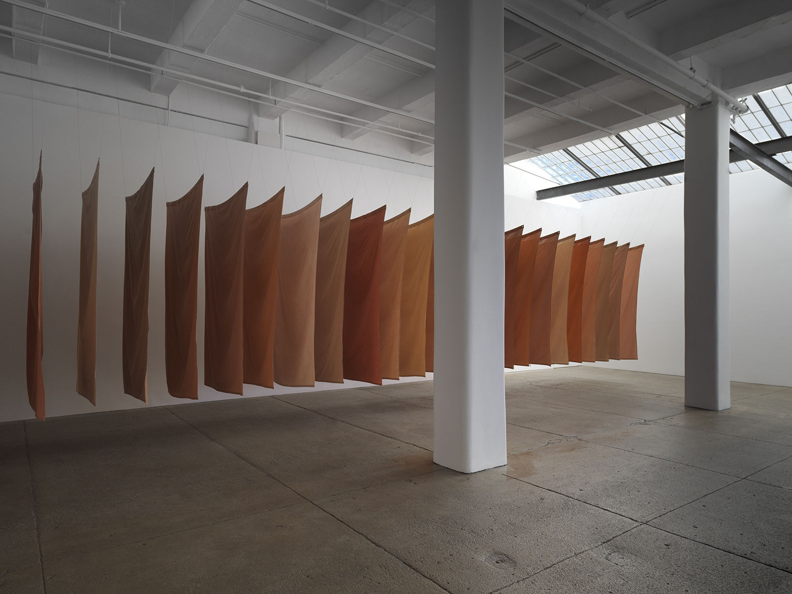 Andy Goldsworthy: Red Flags