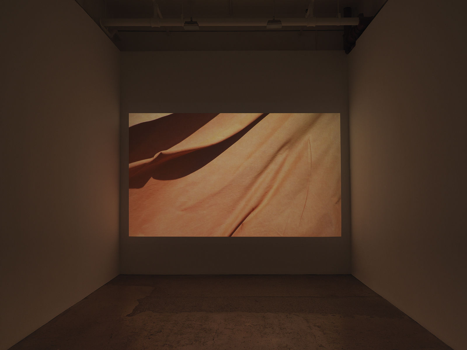 Andy Goldsworthy: Red Flags