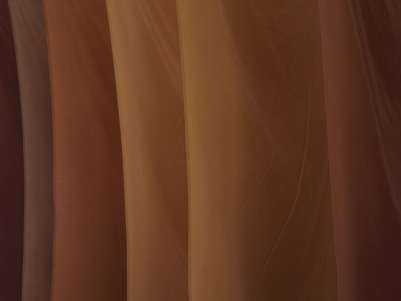 Andy Goldsworthy: Red Flags