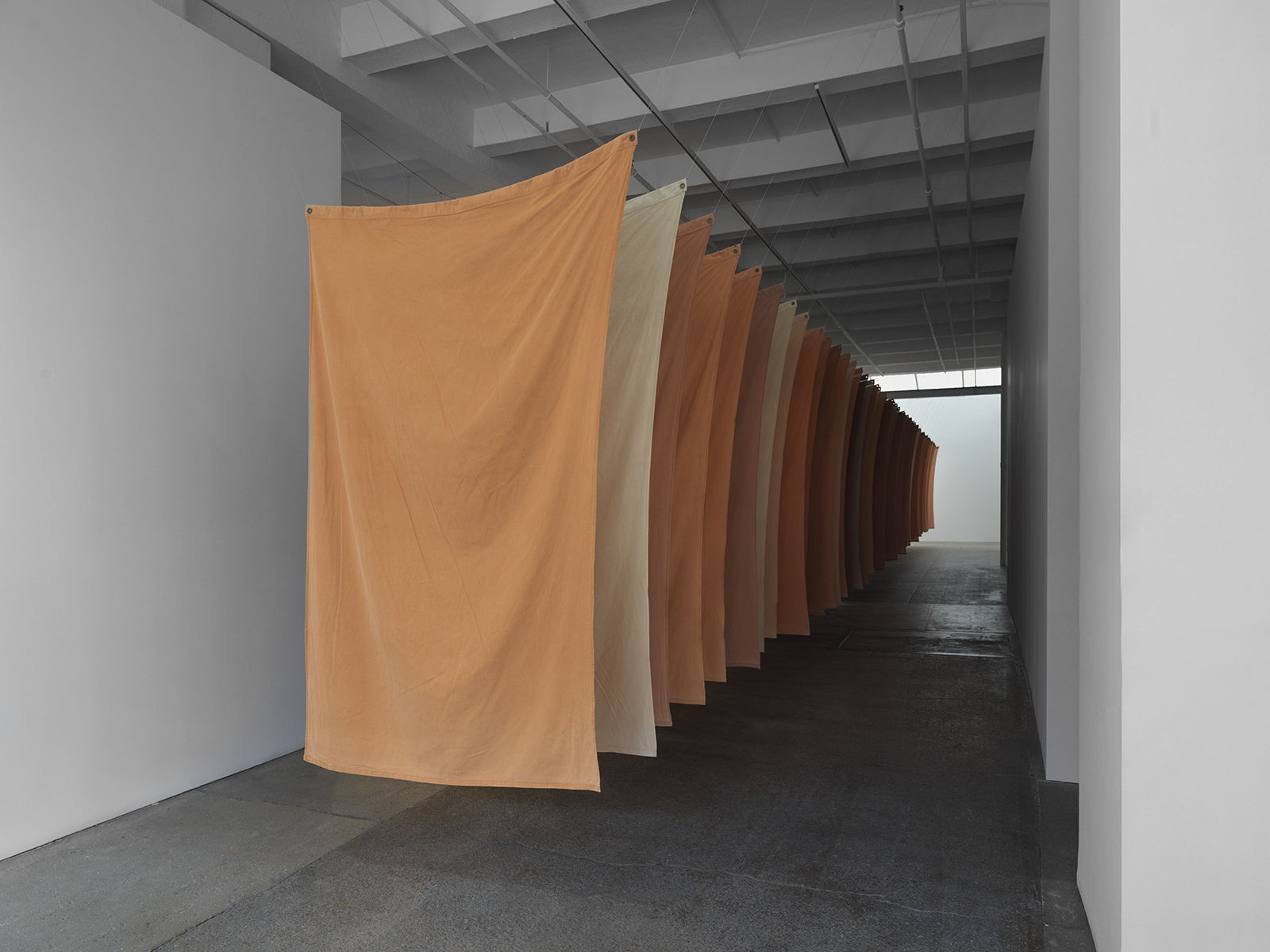 Andy Goldsworthy: Red Flags