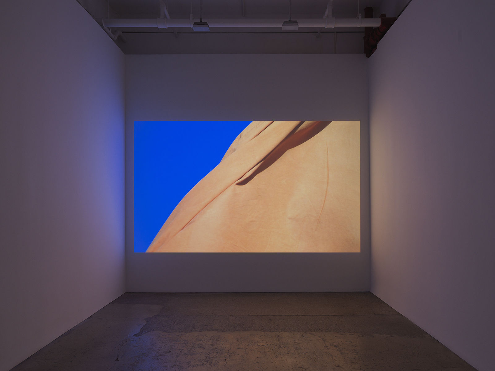 Andy Goldsworthy: Red Flags