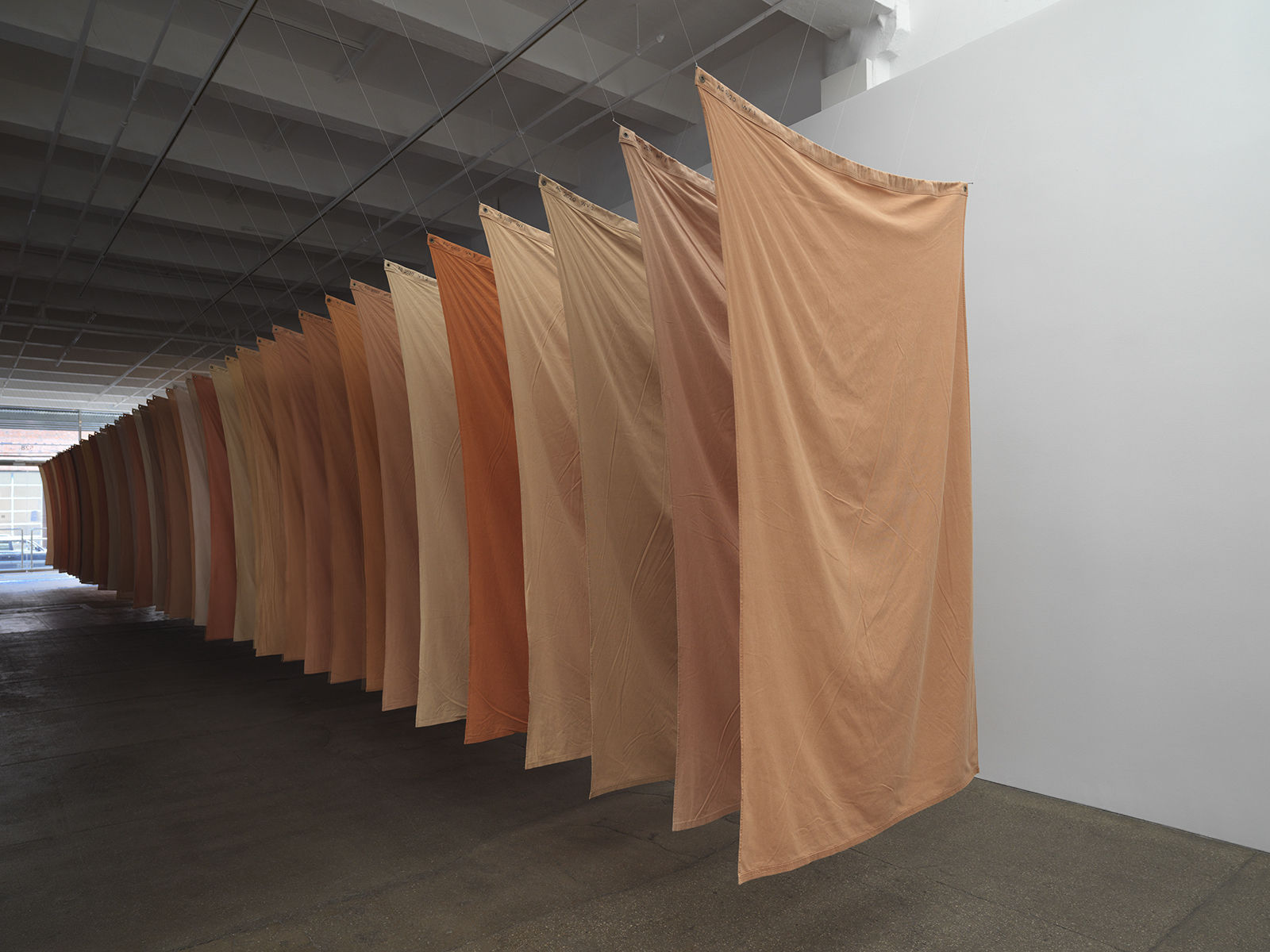 Andy Goldsworthy: Red Flags