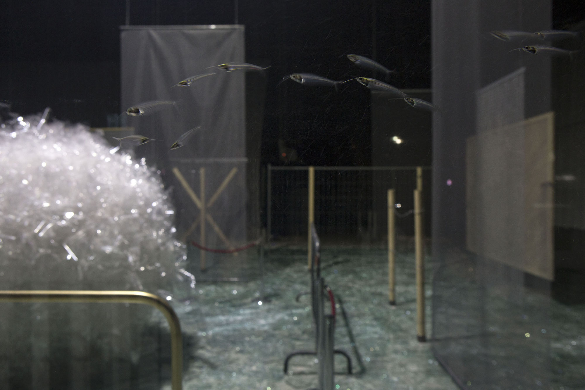 Cildo Meireles: Installations