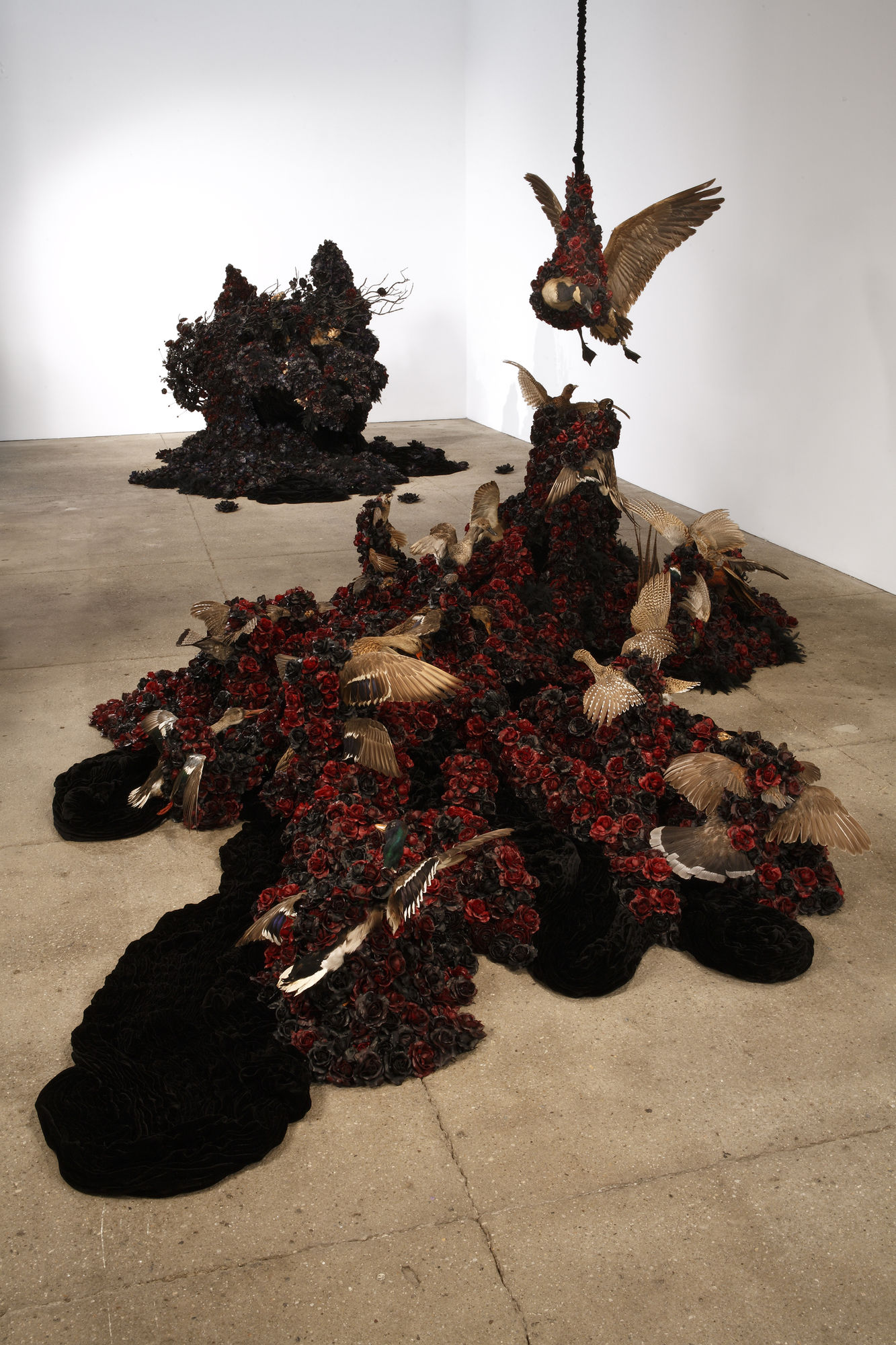 Petah Coyne: Vermilion Fog