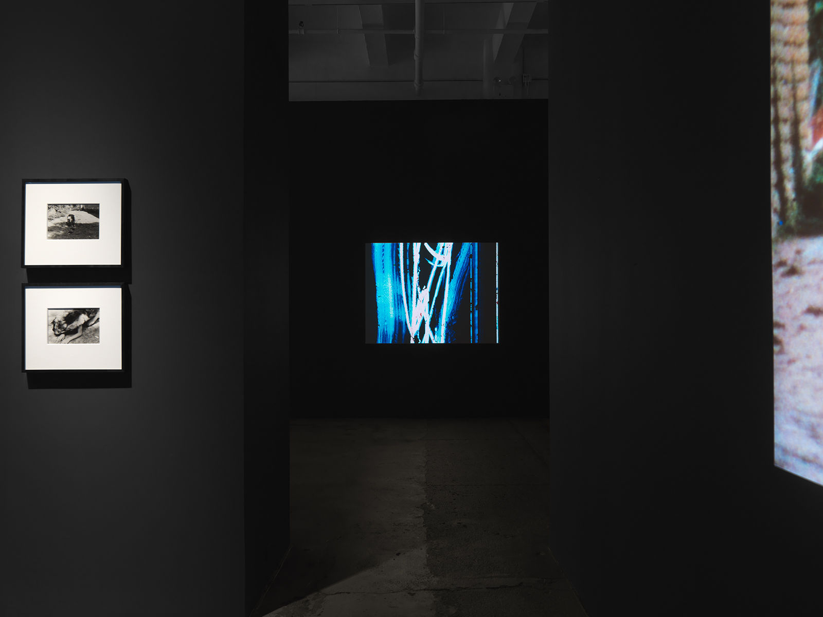 Ana Mendieta: Experimental and Interactive Films