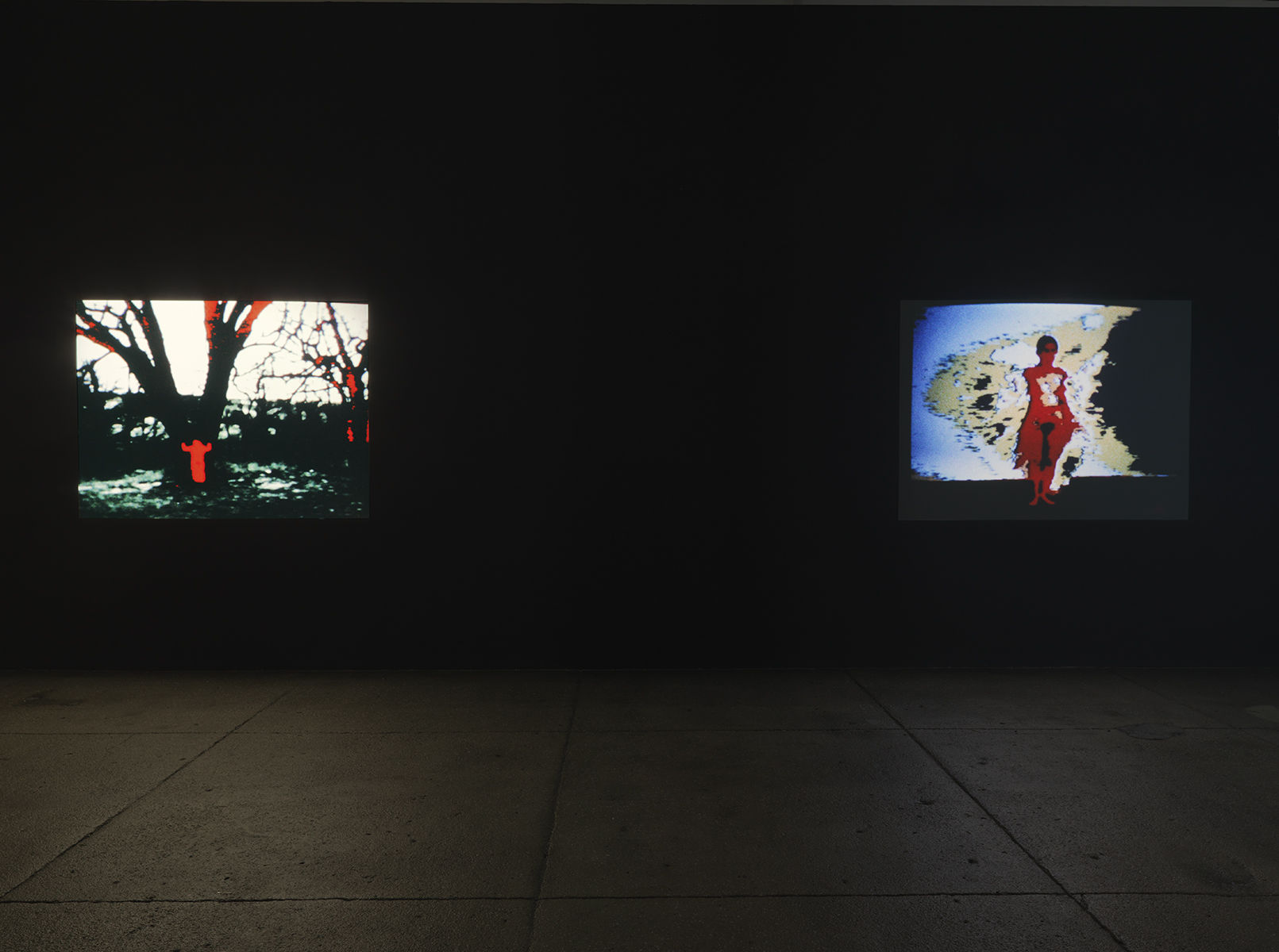 Ana Mendieta: Experimental and Interactive Films