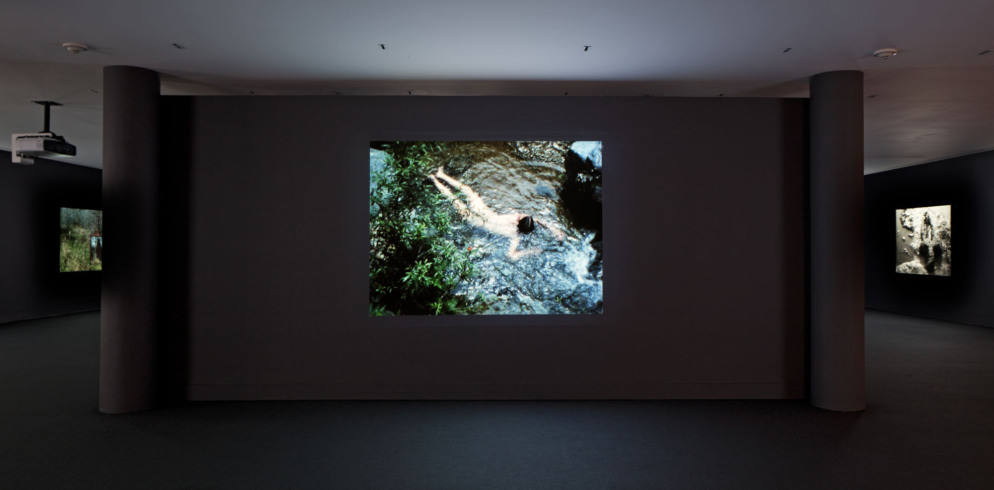 Ana Mendieta: Covered in Time and History: The Films of Ana Mendieta