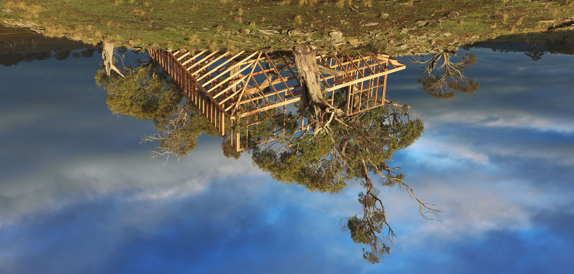 Rosemary Laing: leak