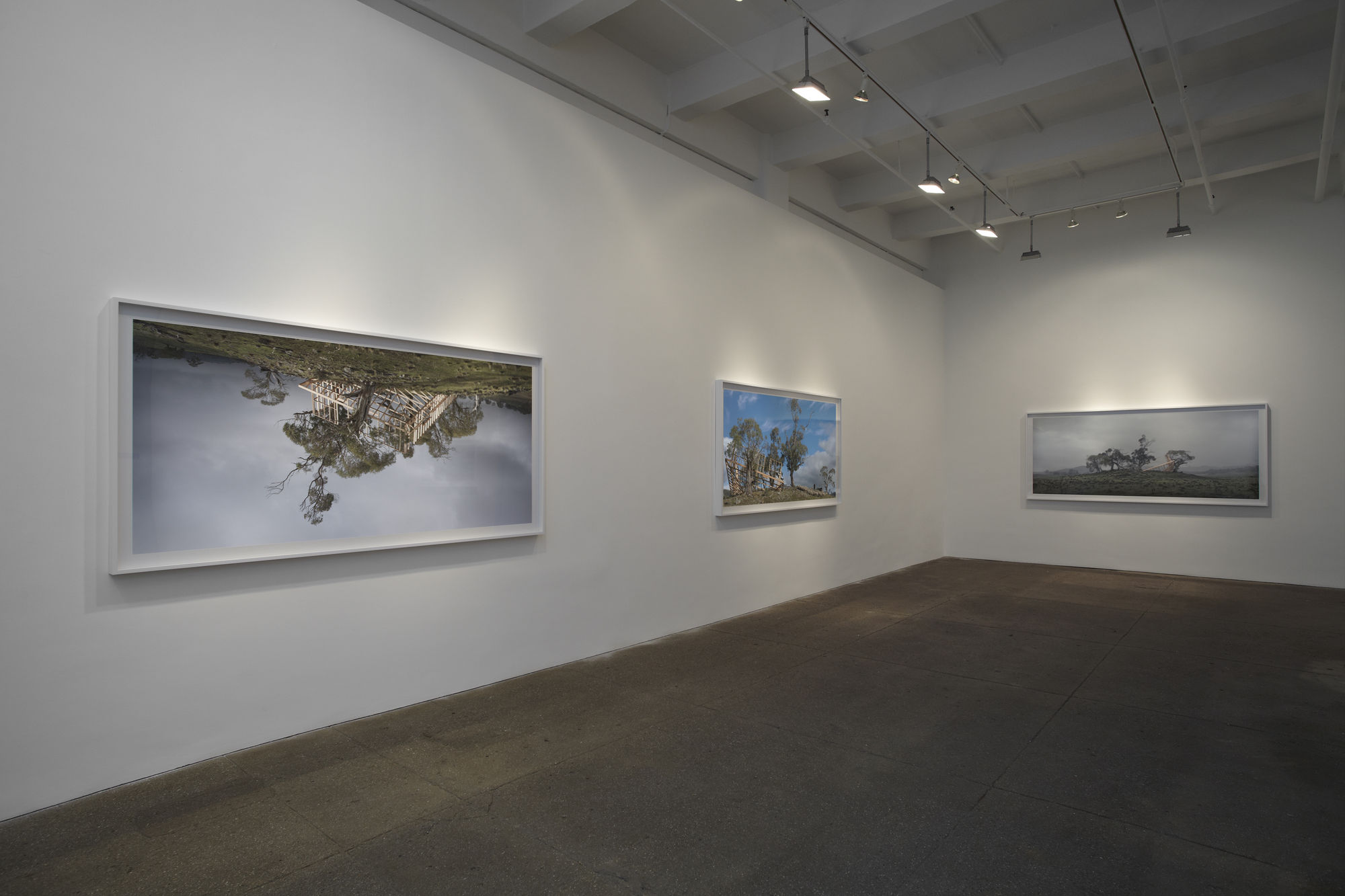 Rosemary Laing: leak