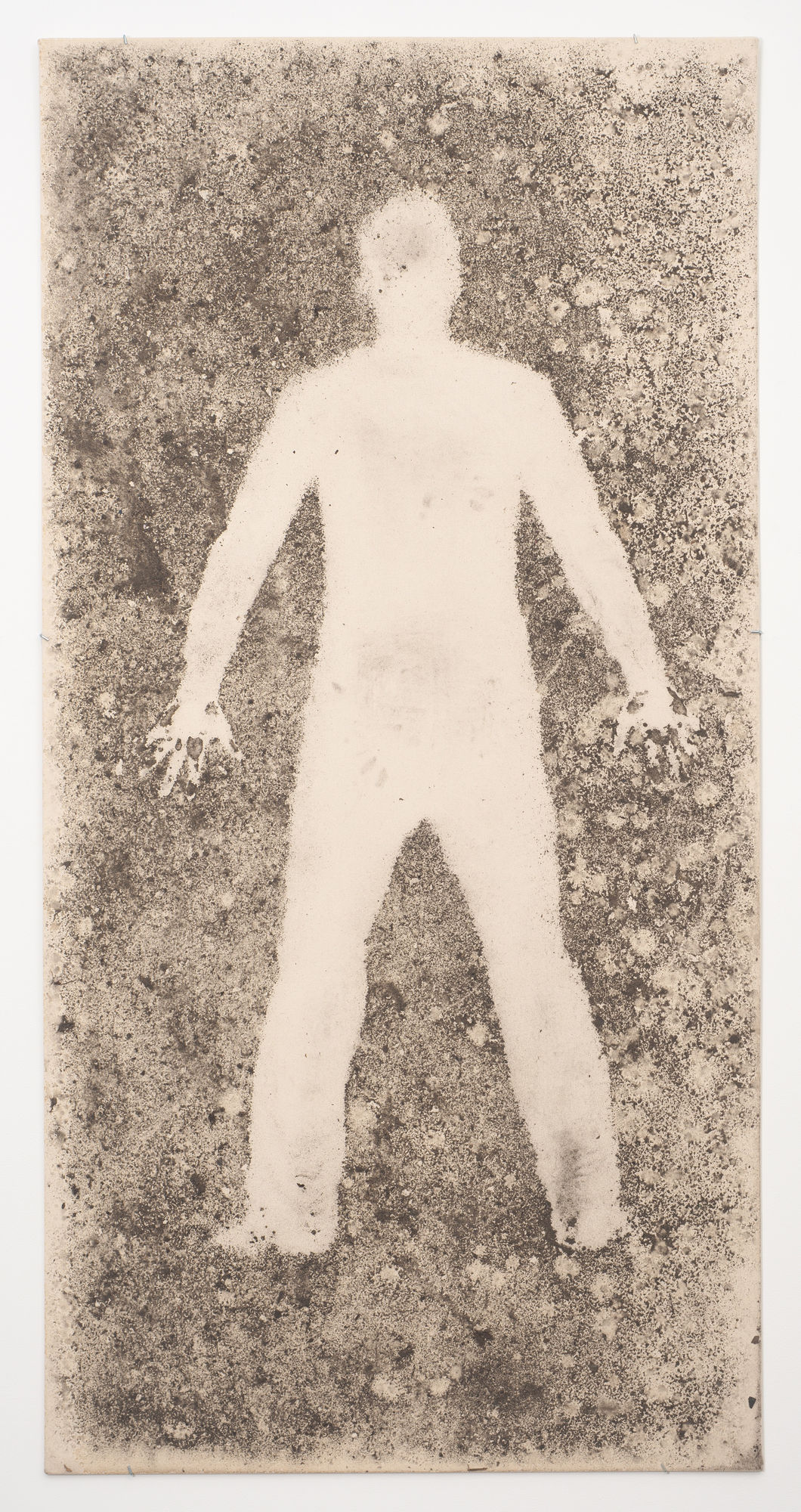 Andy Goldsworthy Rain Shadow 2 25 January 2010 West 26th Street, New York, 2010 Dirt and rain on canvas 98 x 48 inches (243 x 122 cm)