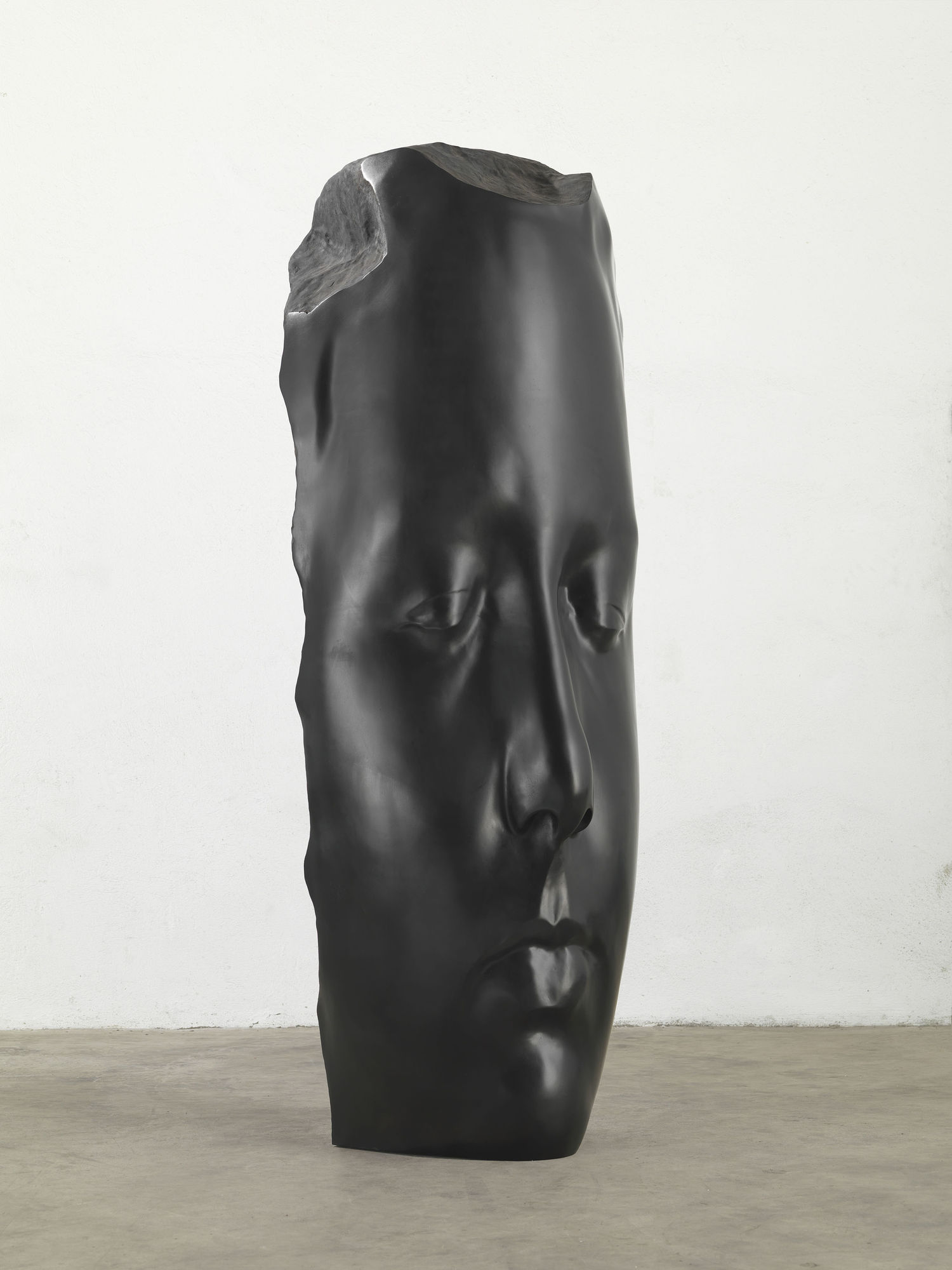 Jaume Plensa Duna's Dream, 2015 Bronze 83 x 29.5 x 27.5 inches (211 x 75 x 70 cm) Edition of 5