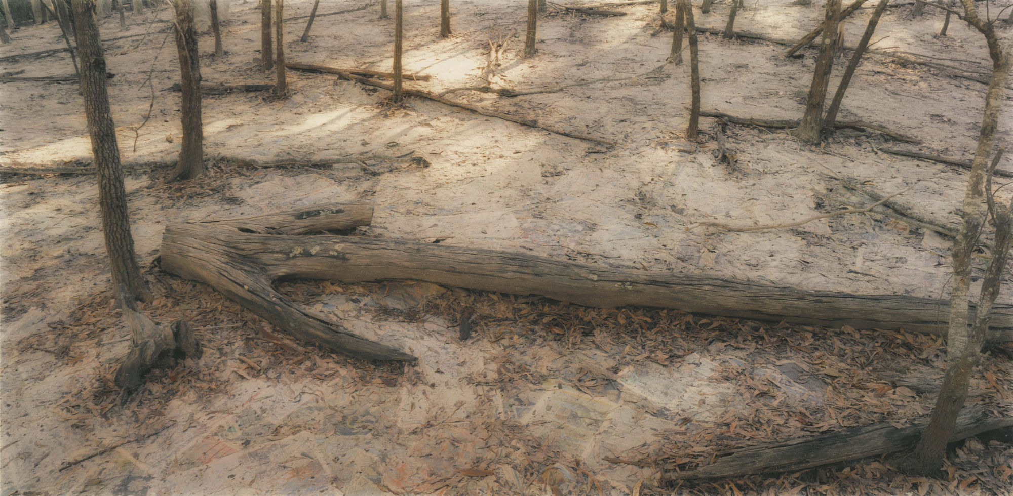 Rosemary Laing The Paper, Wednesday earlier, 2014 Hand-painted analogue C-Type print 35.5 x 72 inches (90 x 183 cm) Edition of 8 + 2 AP